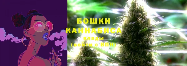 спайс Богородицк