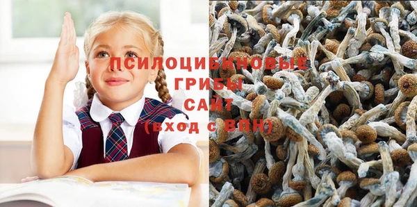 спайс Богородицк