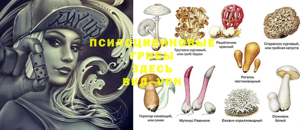 кокаин Богданович
