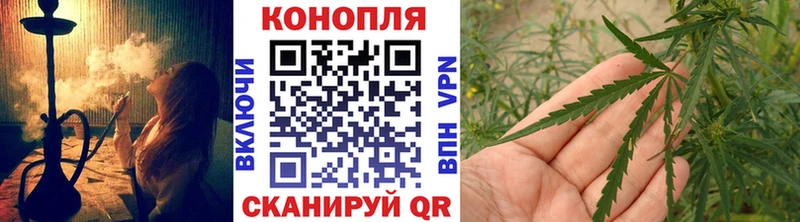 Конопля OG Kush  купить закладку  Малая Вишера 